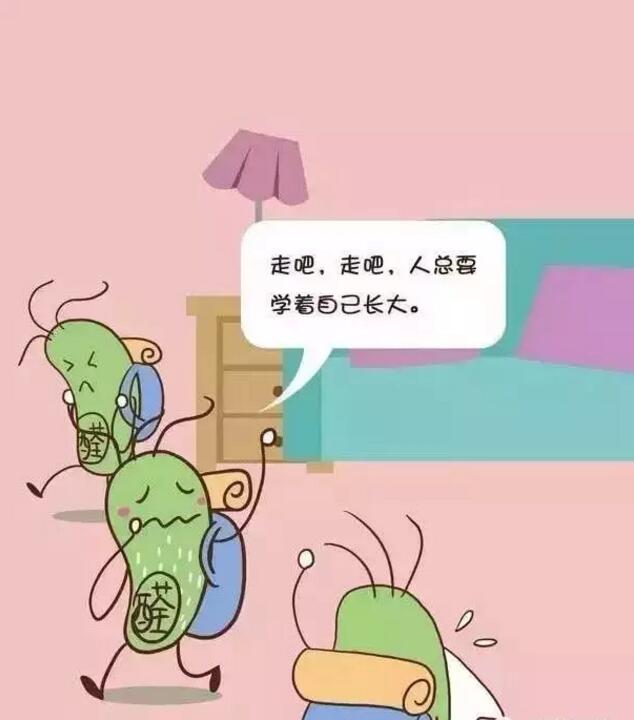 甲醛(quan)危(wei)害