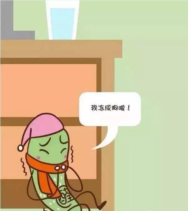 甲醛(quan)危害