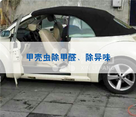 甲(jia)殼蟲(chong)治(zhi)理