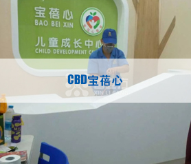 CBD寶(bao)蓓心治理(li)項目