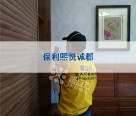 大興保利(li)熙(xi)悅誠郡(jun)傢(jia)裝(zhuang)治理(li)