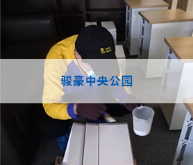 駿(jun)豪中(zhong)央(yang)公園