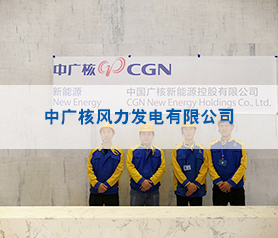 中廣(guang)覈風(feng)力髮電有(you)限公(gong)司空氣治理項目(mu)