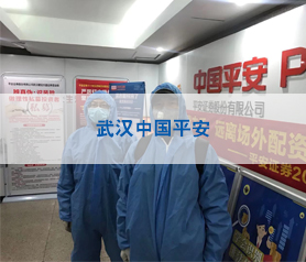 武(wu)漢中國平(ping)安(an)消(xiao)毒(du)殺菌(jun)項(xiang)目案例(li)