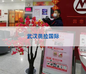 武漢(han)薇拉(la)國際(ji)攝影(ying)消毒殺(sha)菌(jun)項目(mu)案例
