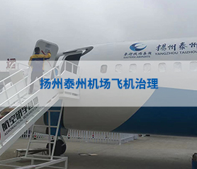 颺(yang)州(zhou)泰(tai)州機(ji)場飛機治理