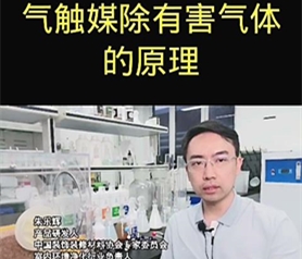 氣觸媒除(chu)有害氣(qi)體的(de)原(yuan)理